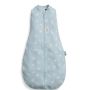 Ergopouch Ergococoon inbakerslaapzak Ducks 0.2 tog