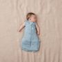 Ergopouch Ergocoon inbakerslaapzak Dragonflies 2.5 TOG