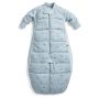 Ergopouch Organic Cotton Sleepsuit Bag Dragonflies 2.5 TOG