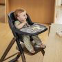 Ergobaby Evolve High Chair Set Dark Wood