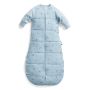 Ergopouch Organic Jersey Slaapzak Dragonflies 2.5 tog met mouwen