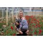 Pure Baby Love Draagzak Click & Go Navy