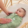 Ergopouch Ergococoon inbakerslaapzak Willow 2.5 tog Newborn