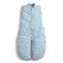 Ergopouch Organic Cotton Jersey Sleepsuit Dragonflies 0.2 tog 