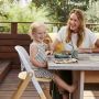 Ergobaby Evolve High Chair Set  Natural Wood 