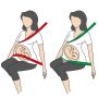 BeSafe Pregnant iZi FIX  - Zwangerschapsgordel voor in de Auto