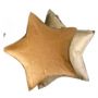 Colibries Shooting Star - Taiga/ Gobi