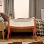 Snuzpod Studio - Co sleeper - Florence (Ember)