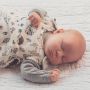 SuperLove Merino Baby Sleeping Bag  - All Season - Enchanted Forest 0-24 mnd