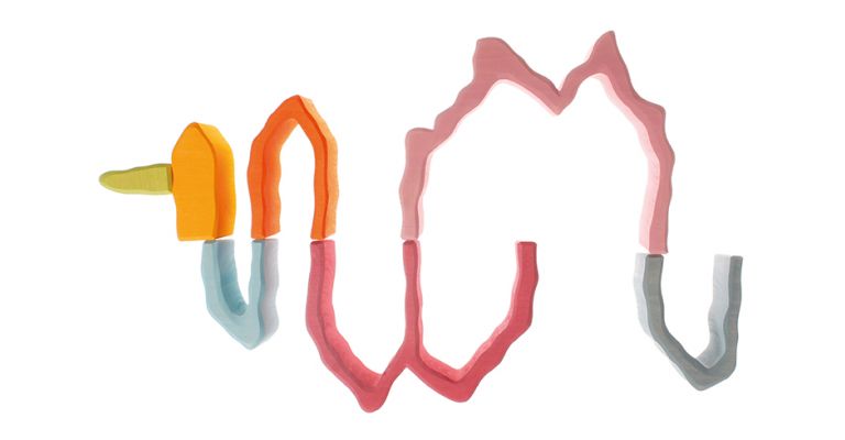 Grimm's Koraalrif -10910