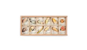 Grapat Houten Speelgoed Wild bewaardoos met 12 creaties