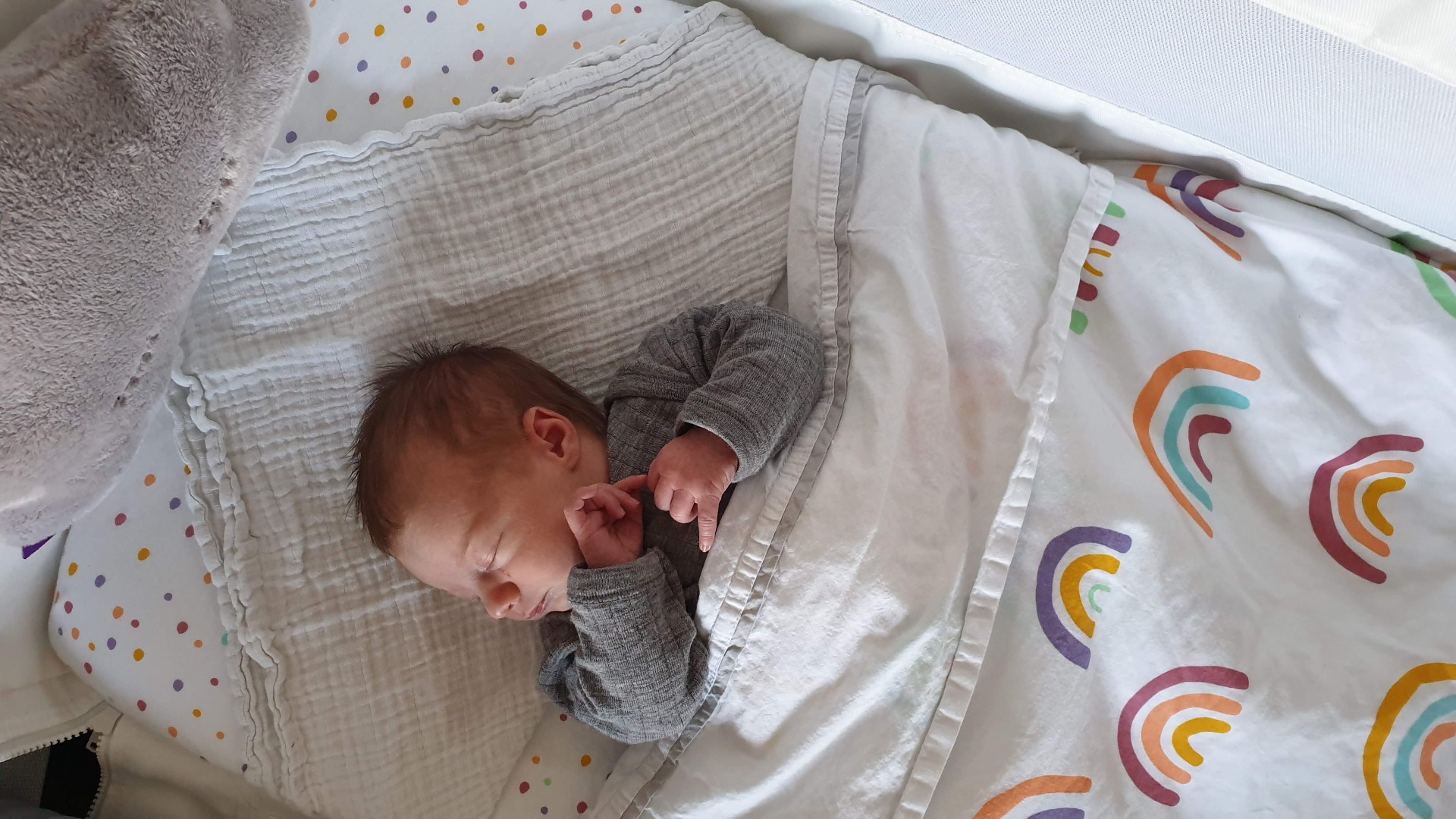 draadloze Melancholie Catastrofaal De Snüzpod co-sleeper is een aanschuifwieg waarin je baby veilig bij je  slaapt | ikbenmama.nl